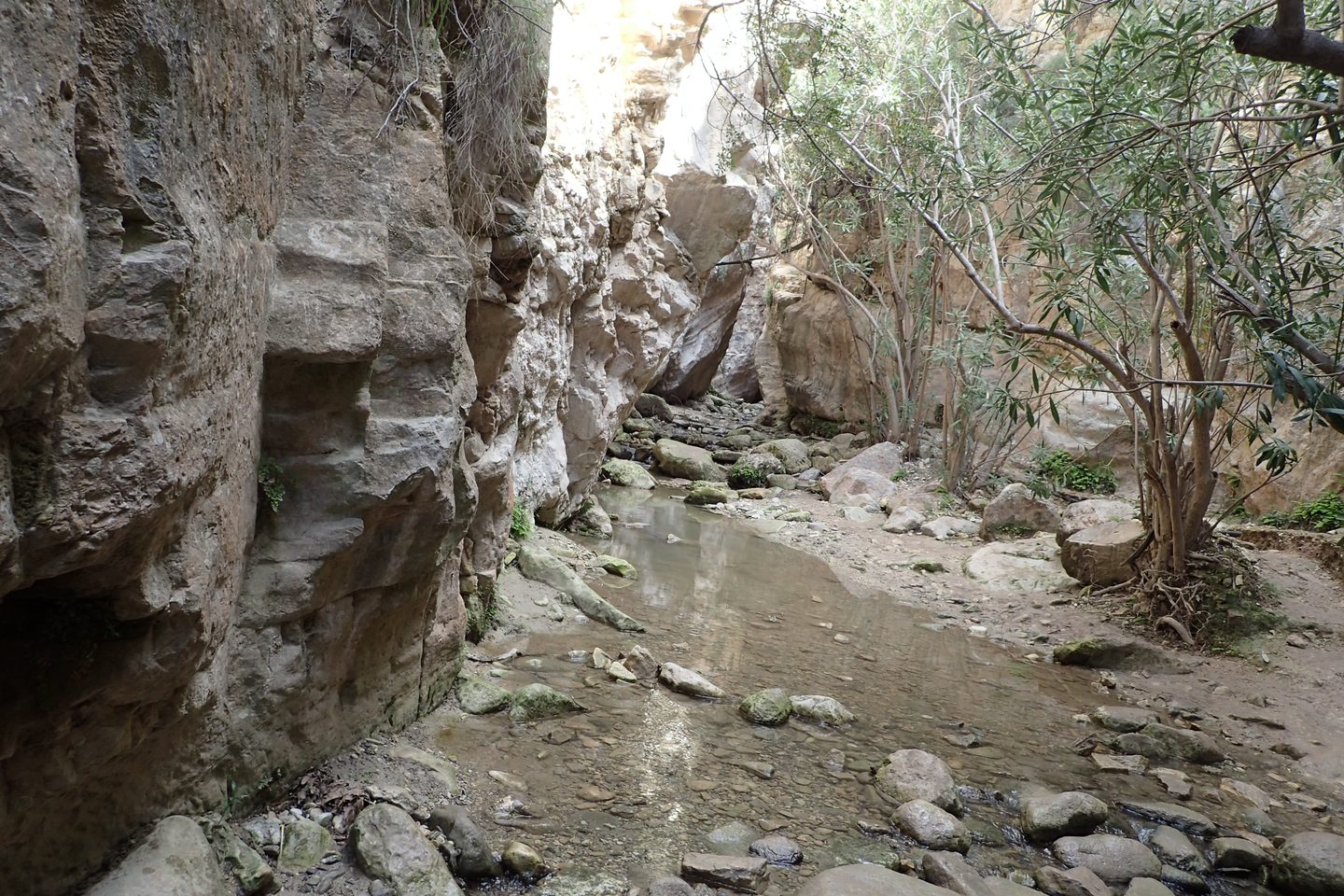 Pale limestone walls rising close on either side of the shallow stream through Avakas Gorge
