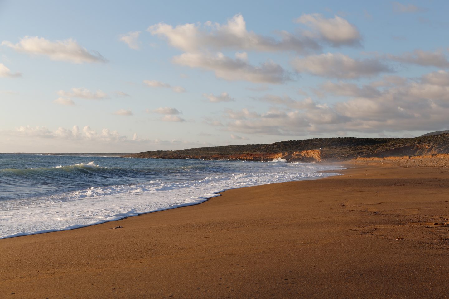Empty pale sand curving away at Lara, waves breaking below low undeveloped cliffs