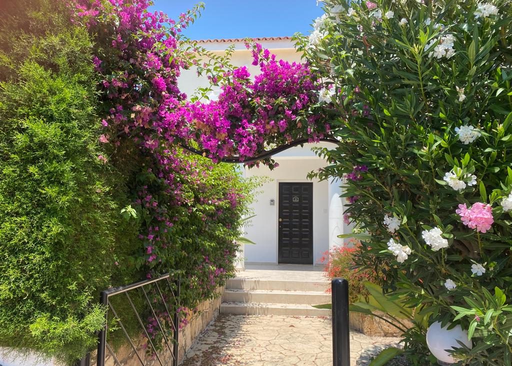 Steps to the front door beneath an arch of magenta bougainvillea and white oleander