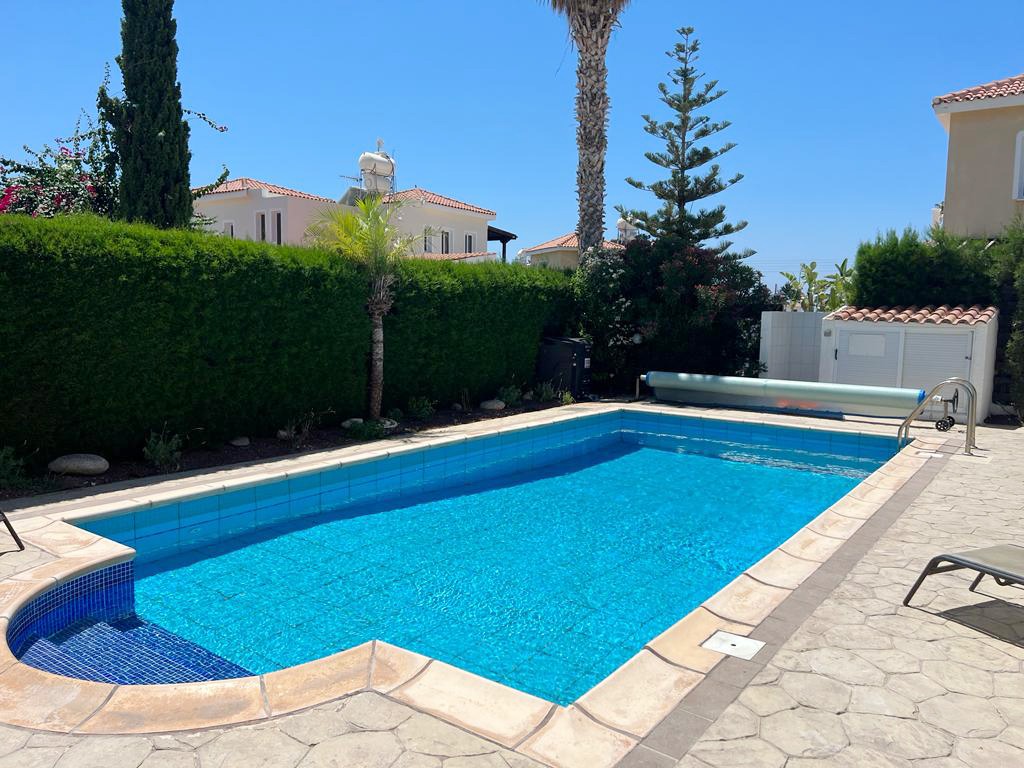 Rectangular swimming pool with curved corner steps, bordered by a tall green hedge and palms
