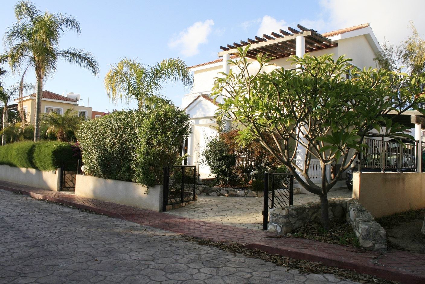 The villa from the lane, its pergola and terracotta roof rising above the palms