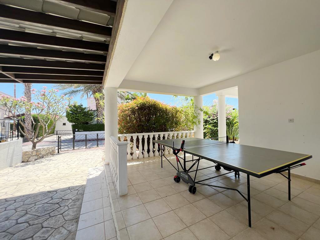 Full-size ping pong table in the shaded carport beside the garden wall