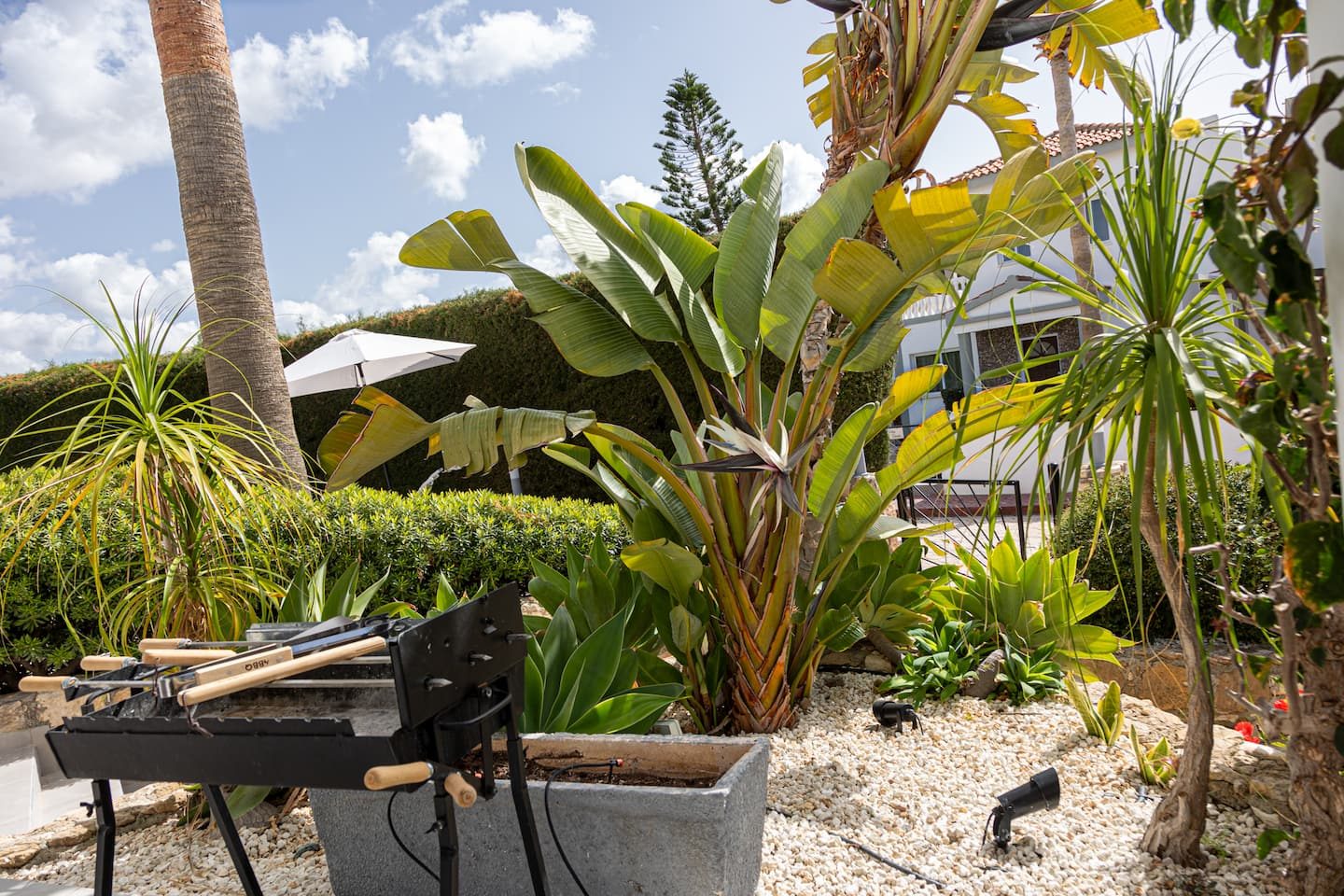 Charcoal barbecue and tools set among banana plants and palms in the garden